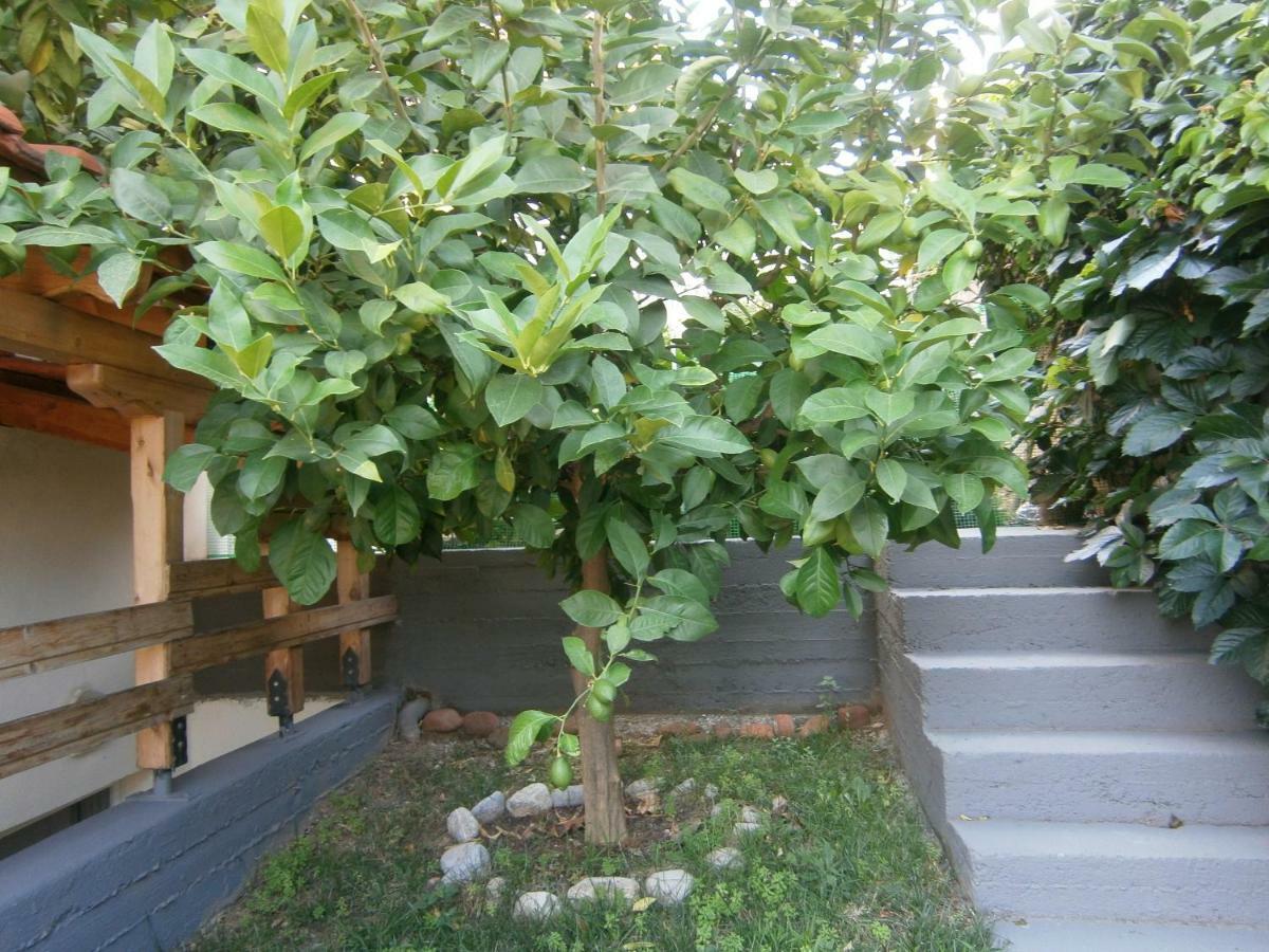 Green Garden Kavála ภายนอก รูปภาพ